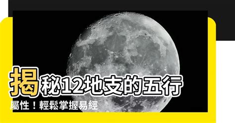 十二地支屬性|【12地支 五行】揭秘12地支的五行屬性！輕鬆掌握易。